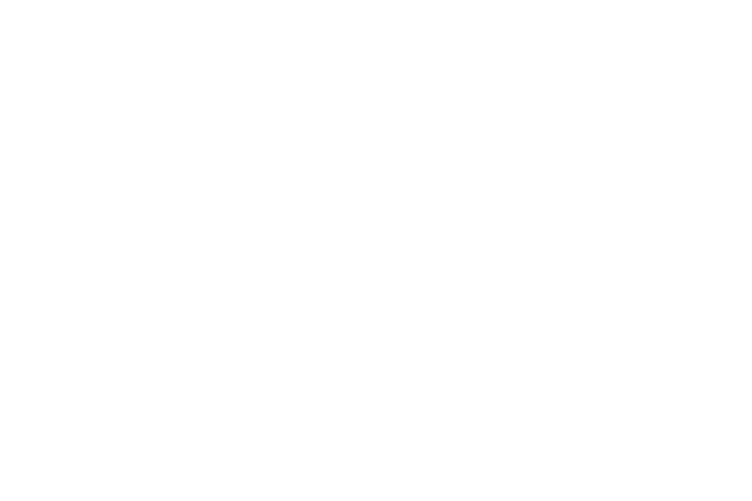 CHAPTERS